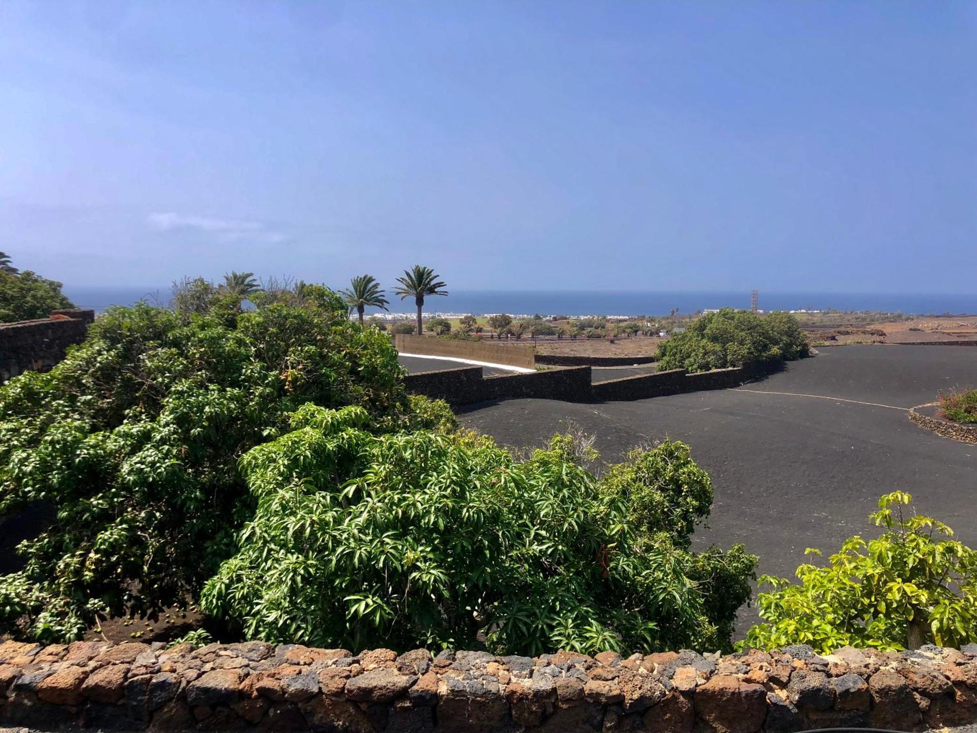 Villa Luciano "Spirit Of The Canaries" Tías Exteriör bild